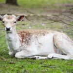 14.05.2020. Bałtów / Wiktor Taszłow / Radio Kielce