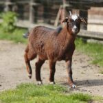 14.05.2020. Bałtów / Wiktor Taszłow / Radio Kielce