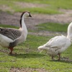 14.05.2020. Bałtów / Wiktor Taszłow / Radio Kielce