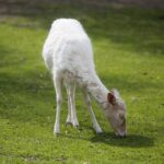 14.05.2020. Bałtów / Wiktor Taszłow / Radio Kielce