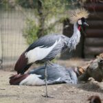 14.05.2020. Bałtów / Wiktor Taszłow / Radio Kielce