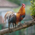 14.05.2020. Bałtów / Wiktor Taszłow / Radio Kielce