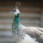 14.05.2020. Bałtów / Wiktor Taszłow / Radio Kielce