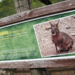 14.05.2020. Bałtów / Wiktor Taszłow / Radio Kielce