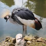 14.05.2020. Bałtów / Wiktor Taszłow / Radio Kielce