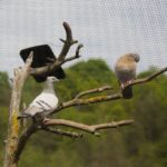 14.05.2020. Bałtów / Wiktor Taszłow / Radio Kielce