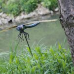 14.05.2020. Bałtów / Wiktor Taszłow / Radio Kielce