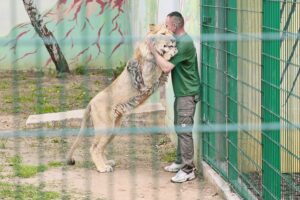 23.05.2020 Lisów. ZOO Leśne Zacisze / Wiktor Taszłow / Radio Kielce