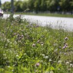 Początek kwietnia to najwyższy czas, aby zadbać o przydomowe trawniki