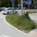 20.05.2020. Kielce. Nieskoszone trawniki / Wiktor Taszłow / Radio Kielce