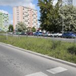 20.05.2020. Kielce. Nieskoszone trawniki / Wiktor Taszłow / Radio Kielce