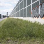 20.05.2020. Kielce. Nieskoszone trawniki / Wiktor Taszłow / Radio Kielce