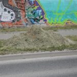 20.05.2020. Kielce. Nieskoszone trawniki / Wiktor Taszłow / Radio Kielce