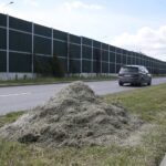 20.05.2020. Kielce. Nieskoszone trawniki / Wiktor Taszłow / Radio Kielce