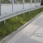 20.05.2020. Kielce. Nieskoszone trawniki / Wiktor Taszłow / Radio Kielce