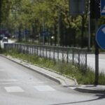 20.05.2020. Kielce. Nieskoszone trawniki / Wiktor Taszłow / Radio Kielce