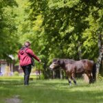 23.05.2020. Tokarnia. Pierwsi goście w skansenie / Wiktor Taszłow / Radio Kielce