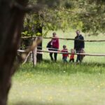 23.05.2020. Tokarnia. Pierwsi goście w skansenie / Wiktor Taszłow / Radio Kielce