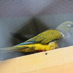 23.05.2020 Lisów. ZOO Leśne Zacisze / Wiktor Taszłow / Radio Kielce