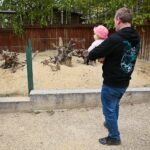 23.05.2020 Lisów. ZOO Leśne Zacisze / Wiktor Taszłow / Radio Kielce