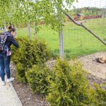 23.05.2020 Lisów. ZOO Leśne Zacisze / Wiktor Taszłow / Radio Kielce