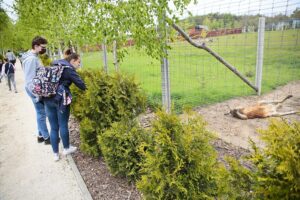 23.05.2020 Lisów. ZOO Leśne Zacisze / Wiktor Taszłow / Radio Kielce