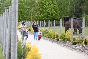 23.05.2020 Lisów. ZOO Leśne Zacisze / Wiktor Taszłow / Radio Kielce