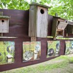 23.05.2020 Lisów. ZOO Leśne Zacisze / Wiktor Taszłow / Radio Kielce