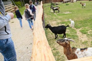 23.05.2020 Lisów. ZOO Leśne Zacisze / Wiktor Taszłow / Radio Kielce