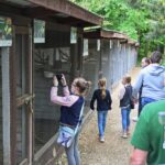 23.05.2020 Lisów. ZOO Leśne Zacisze / Wiktor Taszłow / Radio Kielce