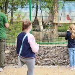 23.05.2020 Lisów. ZOO Leśne Zacisze / Wiktor Taszłow / Radio Kielce