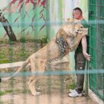 23.05.2020 Lisów. ZOO Leśne Zacisze / Wiktor Taszłow / Radio Kielce