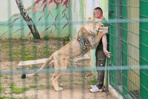 23.05.2020 Lisów. ZOO Leśne Zacisze / Wiktor Taszłow / Radio Kielce