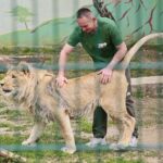 23.05.2020 Lisów. ZOO Leśne Zacisze / Wiktor Taszłow / Radio Kielce