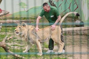 23.05.2020 Lisów. ZOO Leśne Zacisze / Wiktor Taszłow / Radio Kielce