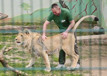 23.05.2020 Lisów. ZOO Leśne Zacisze / Wiktor Taszłow / Radio Kielce