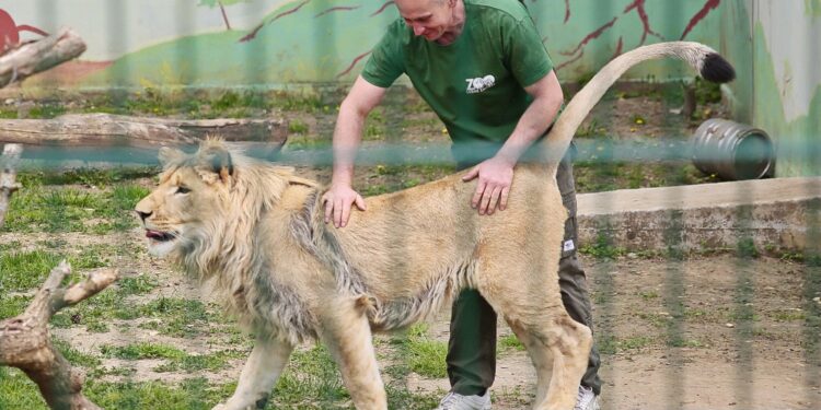 23.05.2020 Lisów. ZOO Leśne Zacisze / Wiktor Taszłow / Radio Kielce