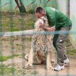 23.05.2020 Lisów. ZOO Leśne Zacisze / Wiktor Taszłow / Radio Kielce