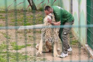 23.05.2020 Lisów. ZOO Leśne Zacisze / Wiktor Taszłow / Radio Kielce