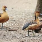 23.05.2020 Lisów. ZOO Leśne Zacisze / Wiktor Taszłow / Radio Kielce