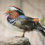 23.05.2020 Lisów. ZOO Leśne Zacisze / Wiktor Taszłow / Radio Kielce