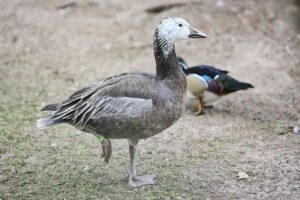 23.05.2020 Lisów. ZOO Leśne Zacisze / Wiktor Taszłow / Radio Kielce