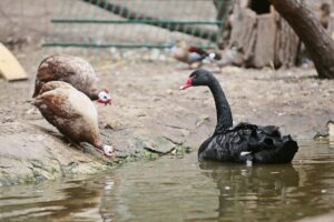 23.05.2020 Lisów. ZOO Leśne Zacisze / Wiktor Taszłow / Radio Kielce