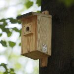 23.05.2020. Kielce. Budka lęgowa Radia Kielce / Wiktor Taszłow / Radio Kielce