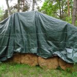 31.05.2020 Krzemionki Opatowskie. Rezerwat Krzemionki. Osada neolityczna / Emilia Sitarska / Radio Kielce