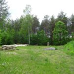 31.05.2020 Krzemionki Opatowskie. Rezerwat Krzemionki. Osada neolityczna Komora ofiarnicza grobowca megalitycznego / Emilia Sitarska / Radio Kielce