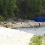 16.05.2020. Starachowice. Sprzątanie Lubianki / Hufiec Starachowice / facebook