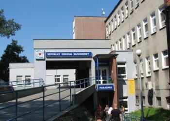 www.zoz.gniezno.pl