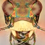 30.05.2020 Ekstremalna fotografia / Paweł Błachowicz