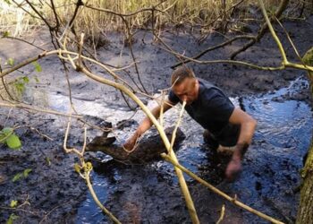 Polski Związek Łowiecki - Zarząd Okręgowy w Słupsku/Facebook